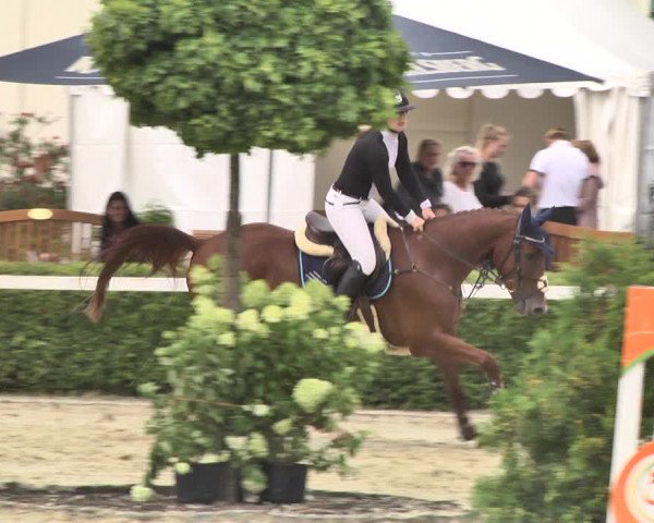 Reitturnier St.Wendel, Gestüt Welvert 2020