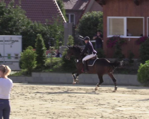 Reitturnier Ascheberg 2020