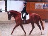 dressage horse Don Faustino (Oldenburg, 1999, from Donnerhall)