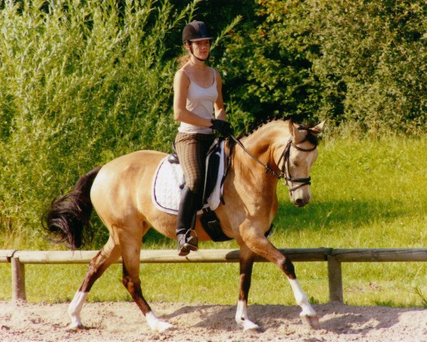 broodmare Donnerfee 35 (German Riding Pony, 1997, from Donnerwetter)