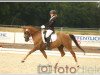 dressage horse Futji (German Riding Pony, 2009, from Fabo San)