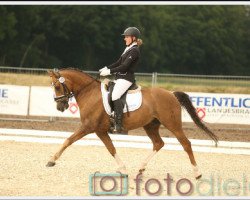 dressage horse Futji (German Riding Pony, 2009, from Fabo San)