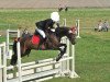 dressage horse Karanka (German Sport Horse, 2005, from Kaiser Franz)