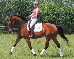 Pferd Elfenflora (Trakehner, 2010, von Rastenberg)