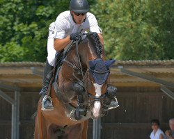 stallion Corlani (Bavarian, 2010, from Cassini II)