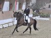 dressage horse Sacuba de Janeiro (Westphalian, 2009, from Spielberg)