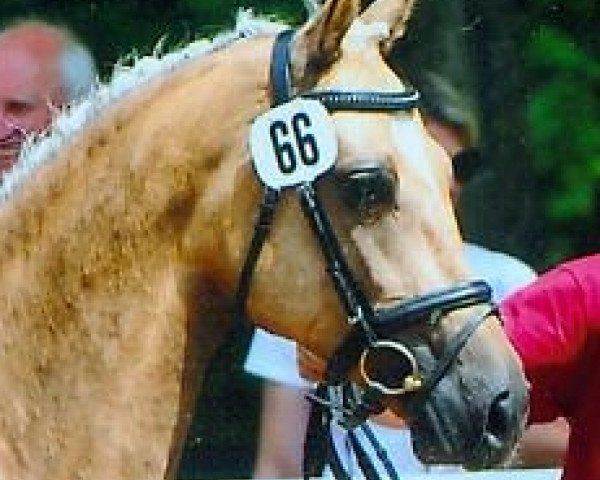 broodmare Harfe (German Warmblood, 2007, from Quaterback)