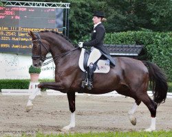 broodmare Dona Figuera (Oldenburg, 2003, from Donnerschwee)