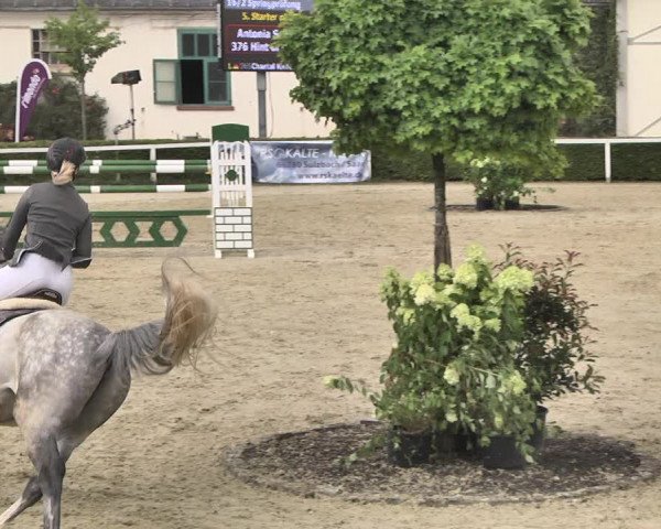 Reitturnier St.Wendel, Gestüt Welvert 2020