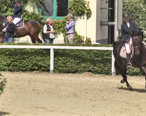Reitturnier St.Wendel, Gestüt Welvert 2020