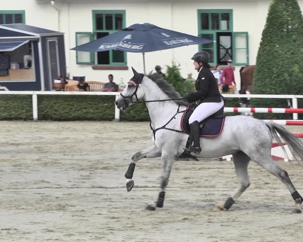 Reitturnier St.Wendel, Gestüt Welvert 2020