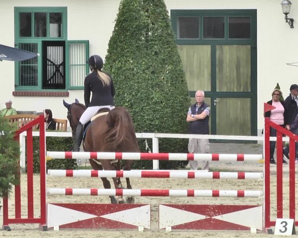 Reitturnier St.Wendel, Gestüt Welvert 2020