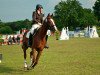 dressage horse Green Pepper 2 (Hanoverian, 2002, from Goldjunge)