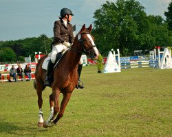 dressage horse Green Pepper 2 (Hanoverian, 2002, from Goldjunge)