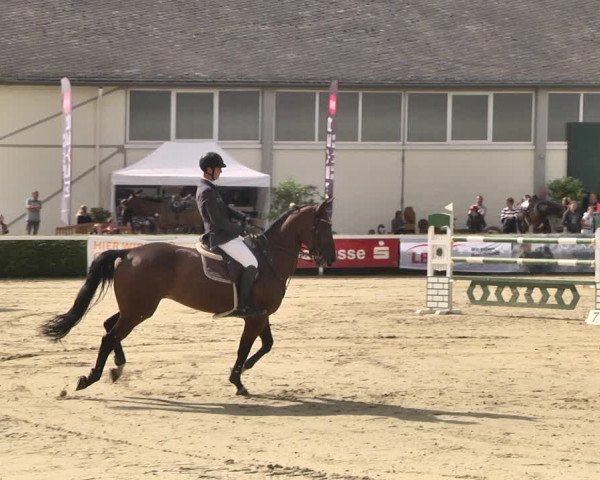 Reitturnier St.Wendel, Gestüt Welvert 2020