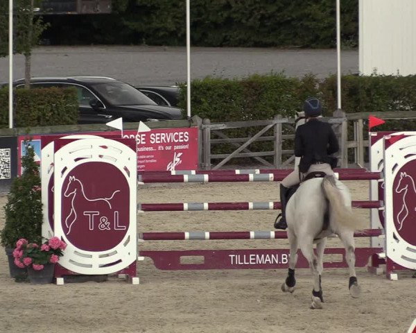 GOLDLEAGUE Lier - CS N 6323 - Azelhof