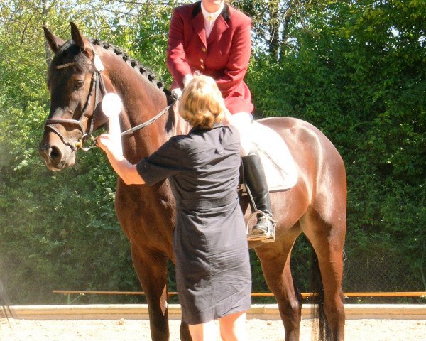 dressage horse Confession H.S. (Bavarian, 2004, from Conteur)