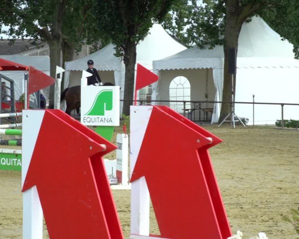 Reitturnier Willich-Anrath-Neersen 2020