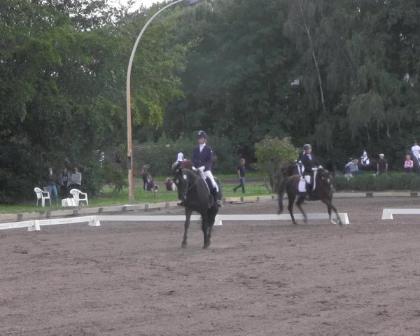 Reitturnier Dallgow 2020