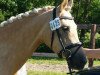 broodmare Kolvenfeld's Circus Ballerina (German Riding Pony, 2011, from Top Carlos Cassini)