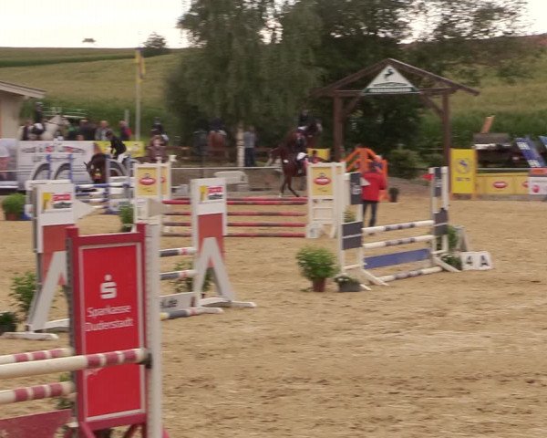 Reitturnier Duderstadt 2020