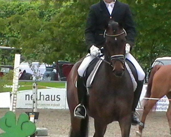 dressage horse Finesse 328 (Westphalian, 2009, from Fineliner 2)