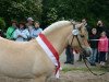 broodmare Leonce (Fjord Horse, 2011, from Damar)