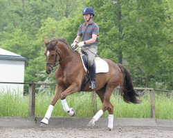 broodmare Franka 164 (Hanoverian, 2009, from Fidertanz)