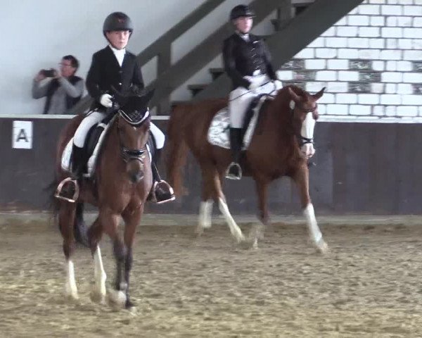 Reitturnier Bühren-Breckerfeld 2020