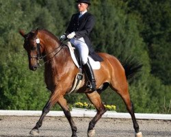 dressage horse Fast Break (Westphalian, 1996, from Florestan I)