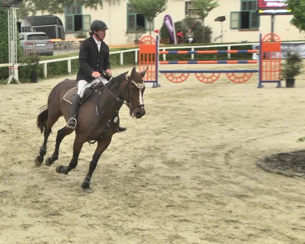 Reitturnier St.Wendel, Gestüt Welvert 2020