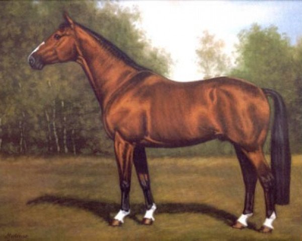 stallion Matrose (Hanoverian, 1966, from Marcio xx)