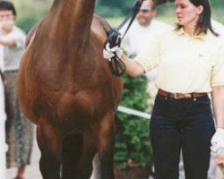 broodmare Mona (Hanoverian, 1987, from Matrose)