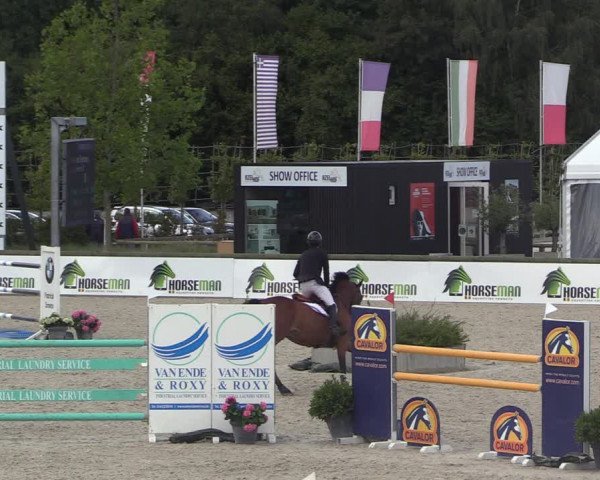 GOLDLEAGUE Lier - CS N 6323 - Azelhof
