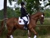 dressage horse Beelano (Hanoverian, 2007, from Brentano II)