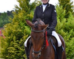 dressage horse Dagon (Westphalian, 2006, from Dancing Dynamite)