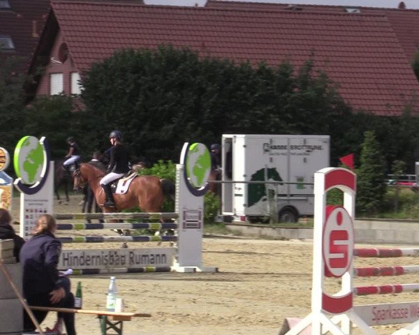 Reitturnier Ascheberg 2020