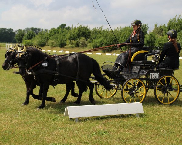 Pferd Lucky 1257 (unbekannt, 1995)