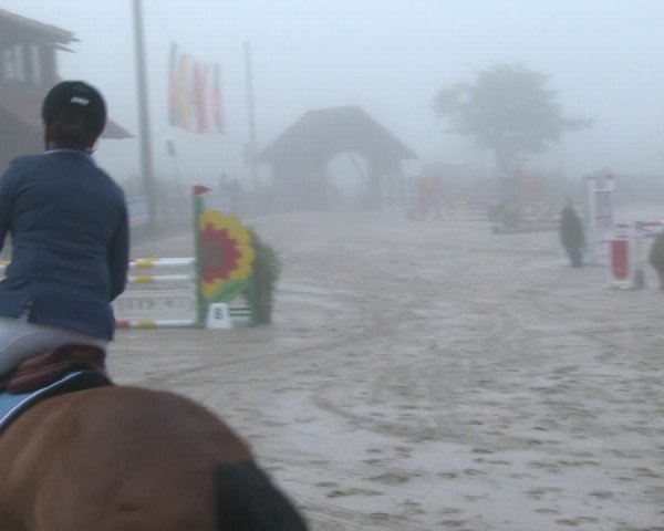 Reitturnier Münster-Nienberge 2020