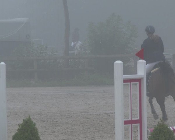 Reitturnier Münster-Nienberge 2020