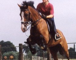 broodmare Kim (German Riding Pony, 1994, from Kaiserjaeger xx)