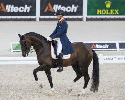 stallion Arlando (KWPN (Royal Dutch Sporthorse), 2005, from Paddox)