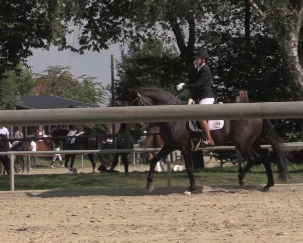 Reitturnier Ascheberg 2020