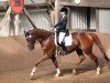 dressage horse Sanyo (German Sport Horse, 2007, from Samba Hit I)