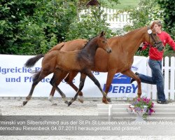 dressage horse A. Surminski (Westphalian, 2011, from Silberschmied)