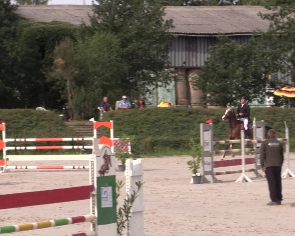 Reitturnier Pietzpuhl 2020