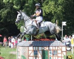 dressage horse Faerie Dianimo (British Sport Horse, 2005, from Dimaggio)