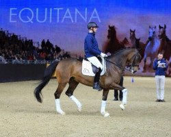 dressage horse Zinq Cabanas Fh (Oldenburg, 2006, from Helenenhof's Carabas)