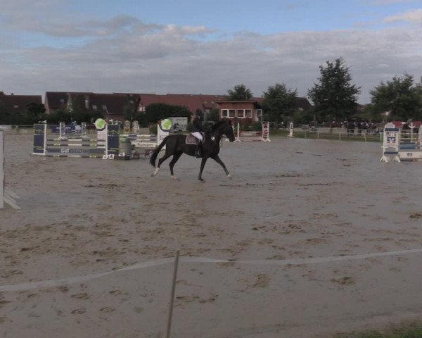 Reitturnier Ascheberg 2020