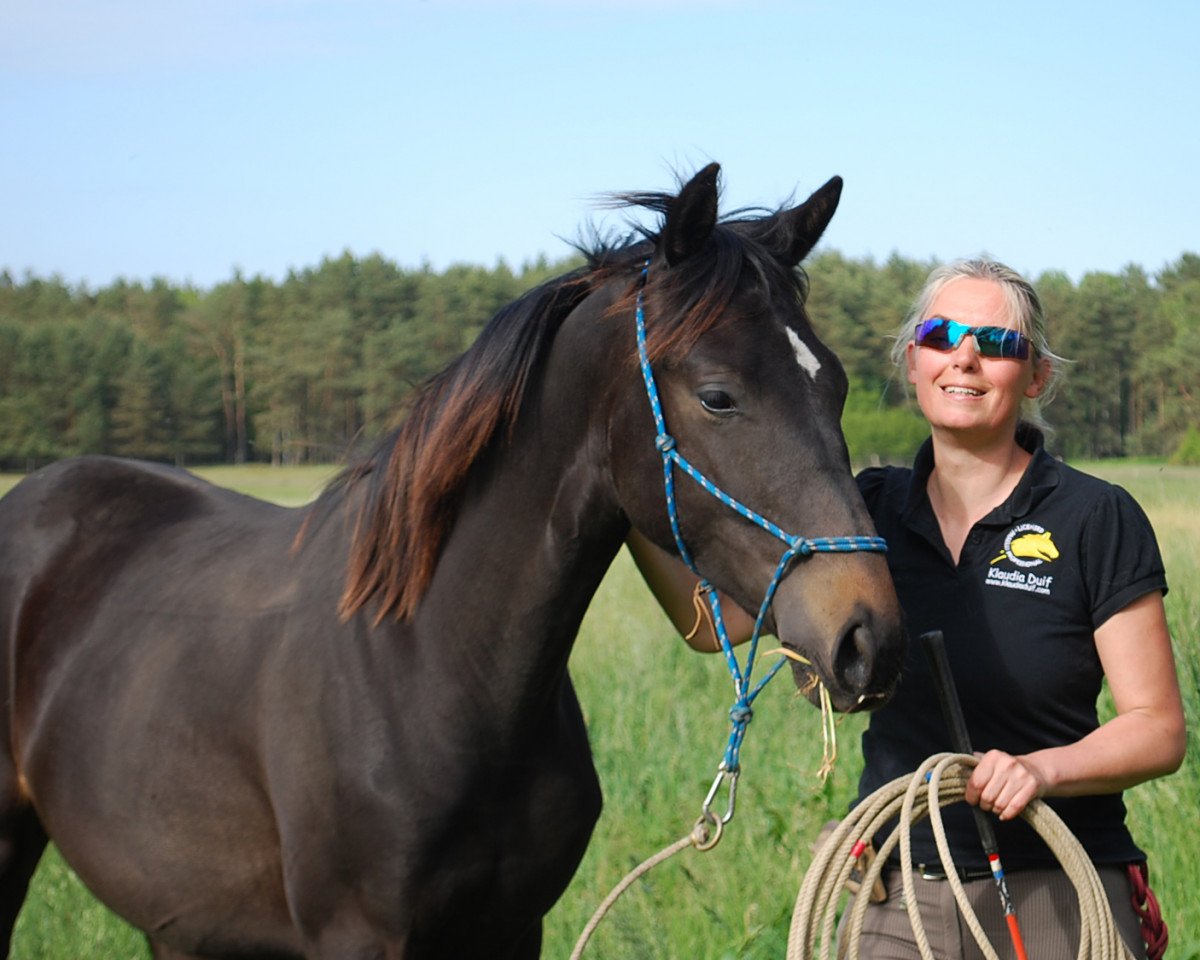 Pferd Ludo KD (Trakehner, 2014, von United Nations xx)